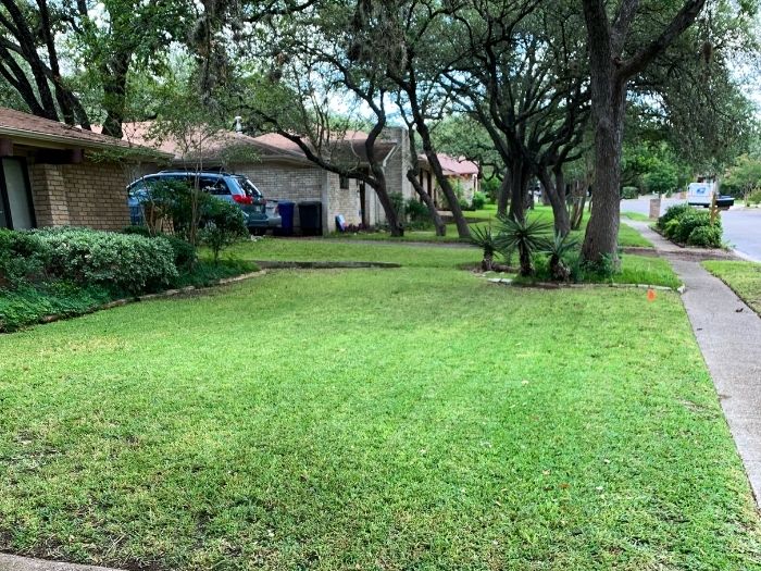 Best Lawn Mowing San Antonio