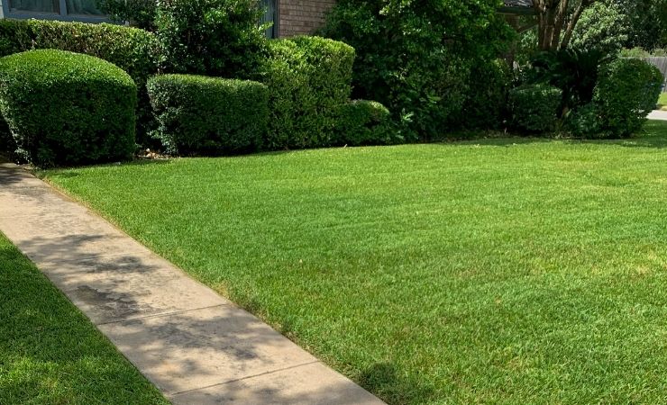 Lawn Mowing Prices San Antonio